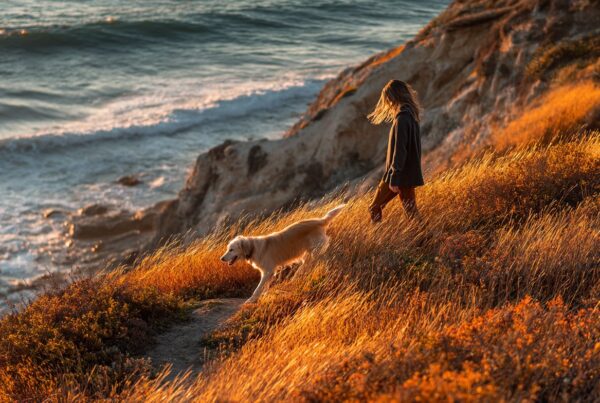 A woman walks her dog along golden coastal cliffs at sunset, symbolizing emotional resilience through nature and calm movement.